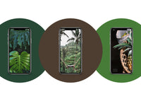 Santos Swim Jungle Color Palette iPhone Backgrounds