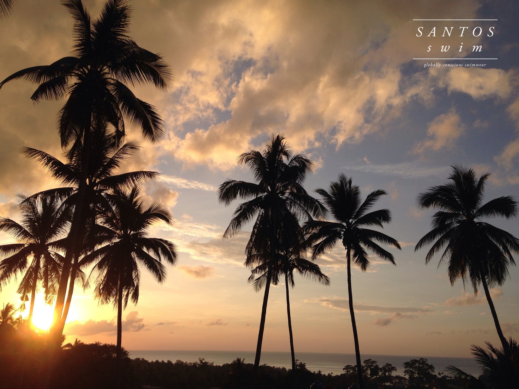 Koh Tao Thailand Island Palm Tree Sunset